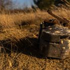 Auf dem ehemaligen Armeegelände bei Luckenwalde