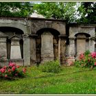 Auf dem ehemaligen Friedhof in Obercunnersdorf/ OL