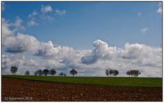 auf dem eifelsteig I......