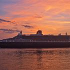 Auf dem Elbdeich - Die "Queen Mary 2" mit Kurs auf Hamburg...