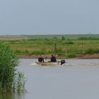 auf dem Elbe Seitenarm unterwegs ...