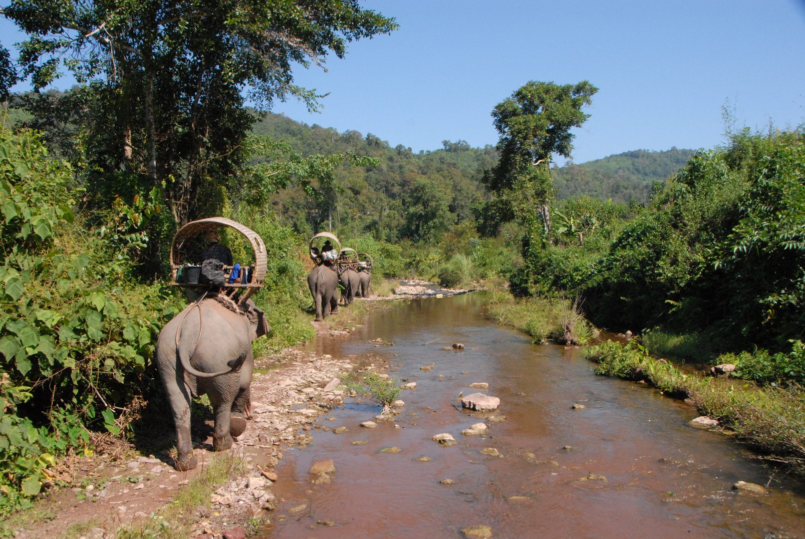 ... auf dem Elefant unterwegs in Laos