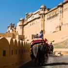 Auf dem Elefantenrücken ins Amber Fort