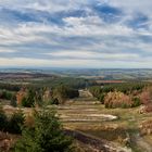 Auf dem Erbeskopf im Hunsrück-Hochwald