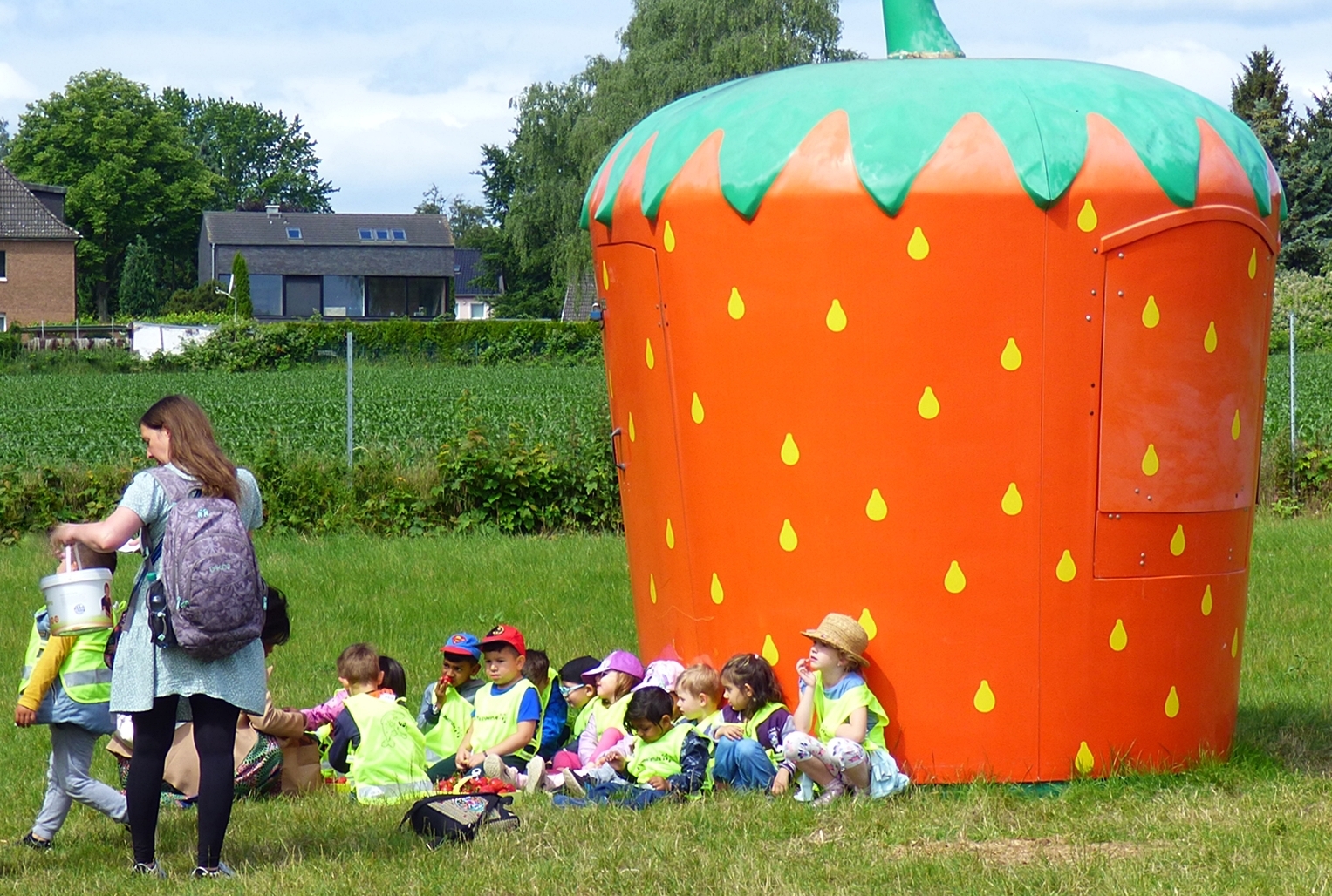 Auf dem Erdbeerfeld.