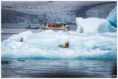 Auf dem ersten Blick.....