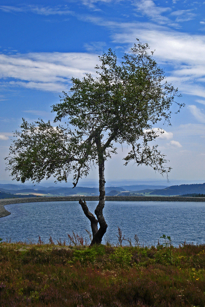 Auf dem Ettelsberg