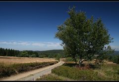 ... auf dem Ettelsberg ...