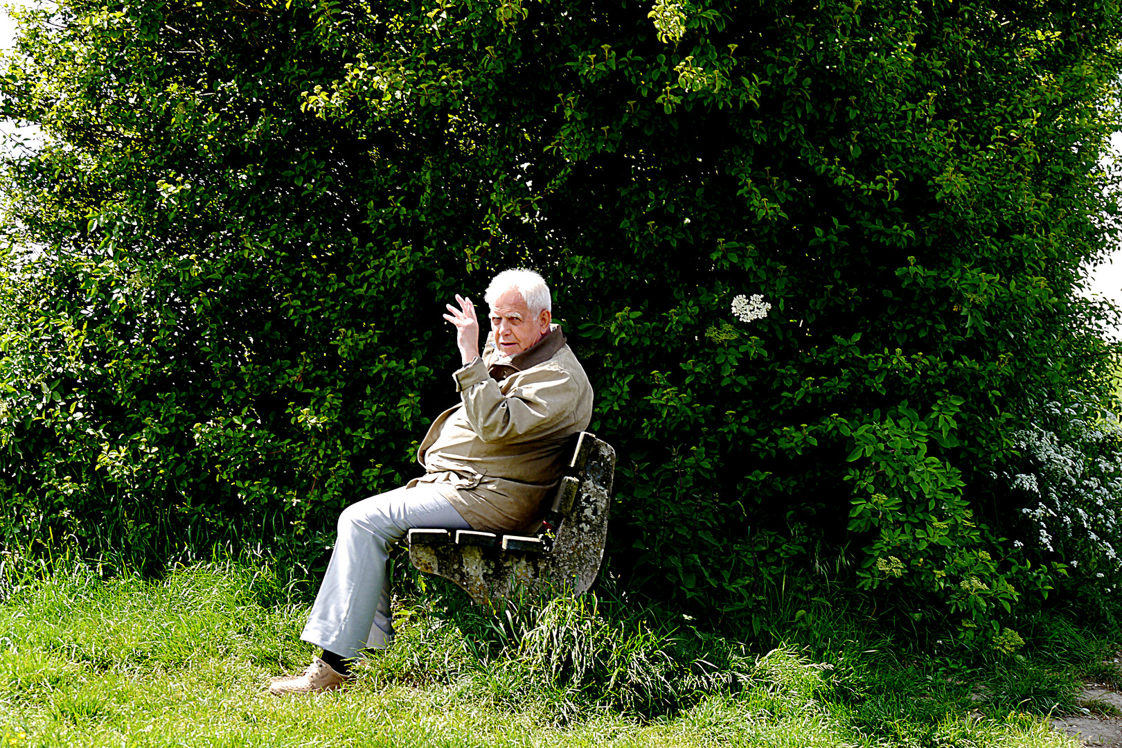 Auf dem Eulenkopfweg II, - Wolly macht ne Pause. -