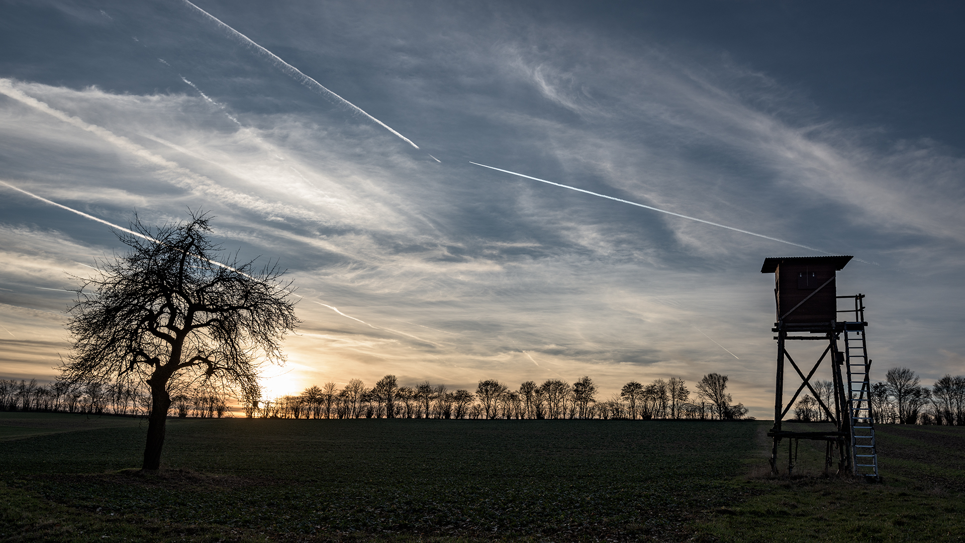 auf dem Feld