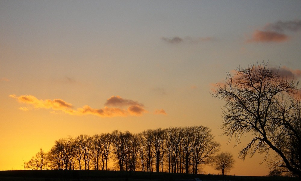 auf dem Feld