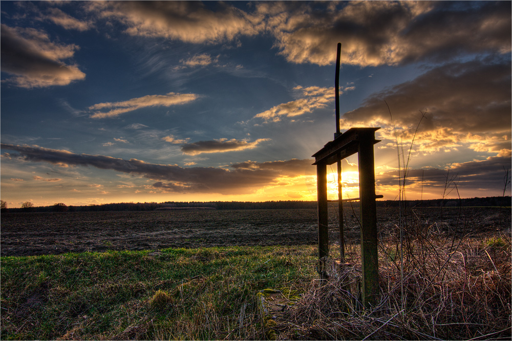 Auf dem Feld.