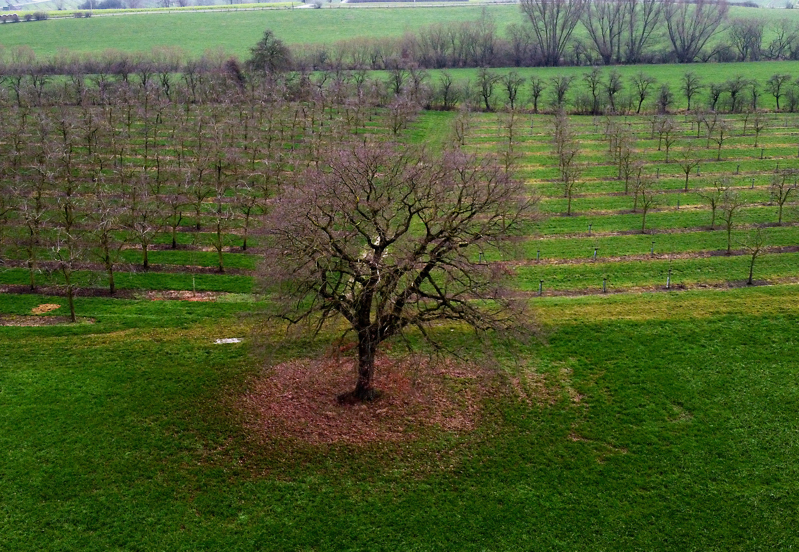 Auf dem Feld