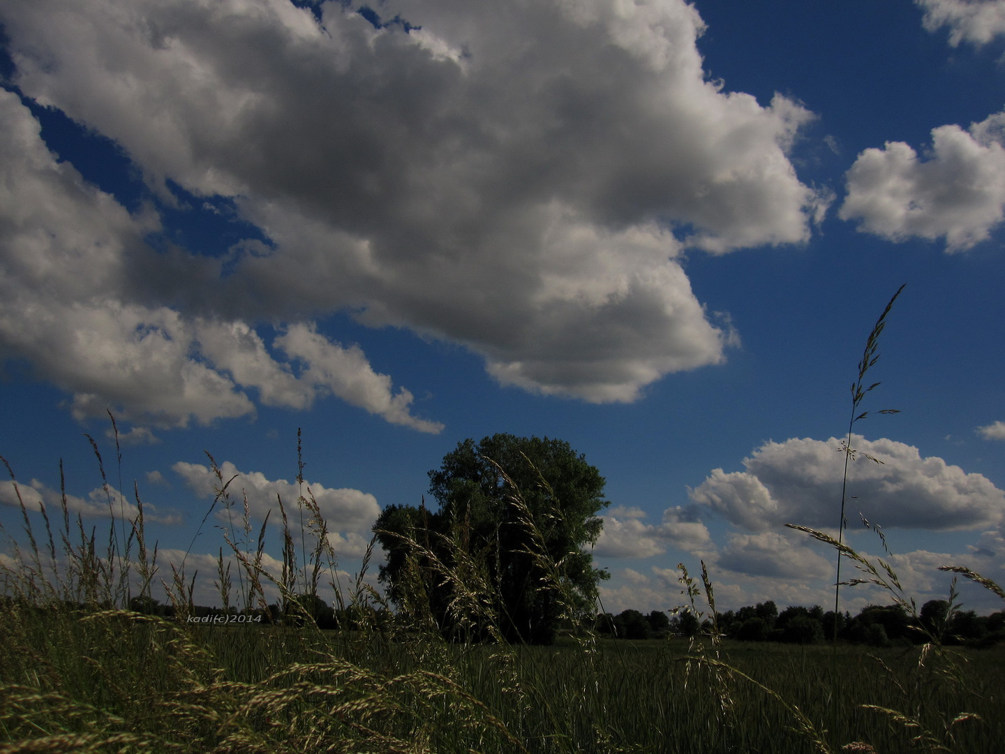 auf dem Feld 3