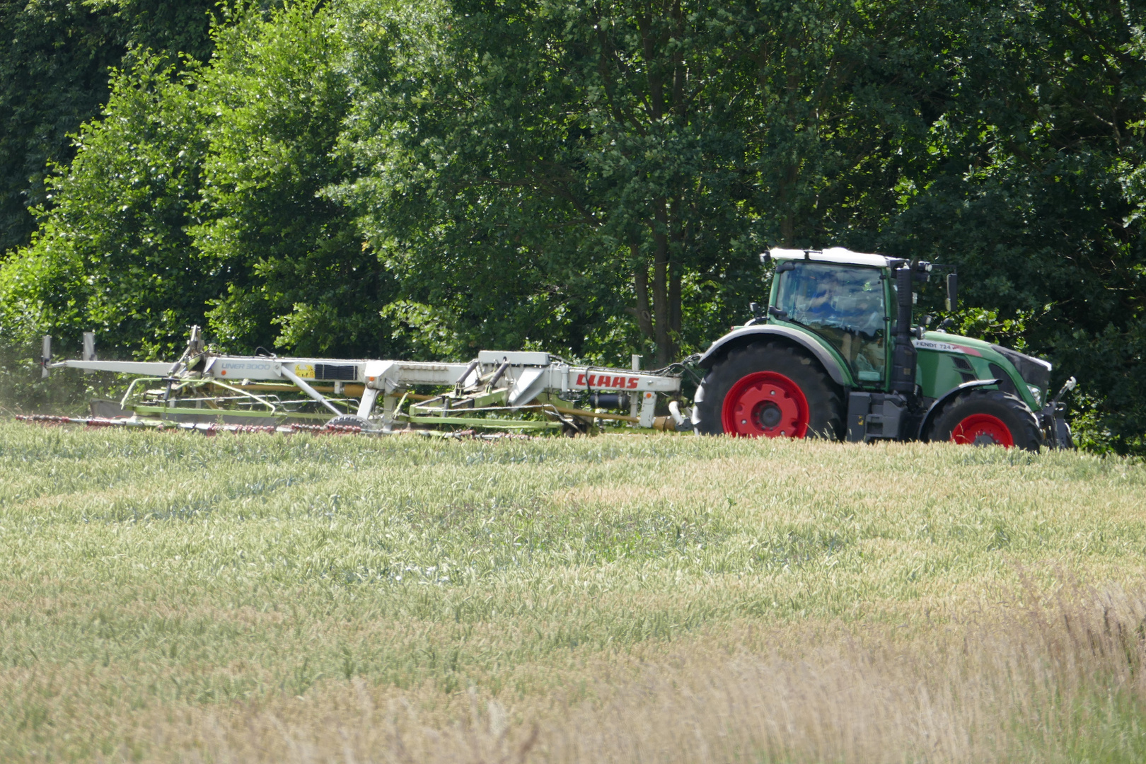 Auf dem Feld