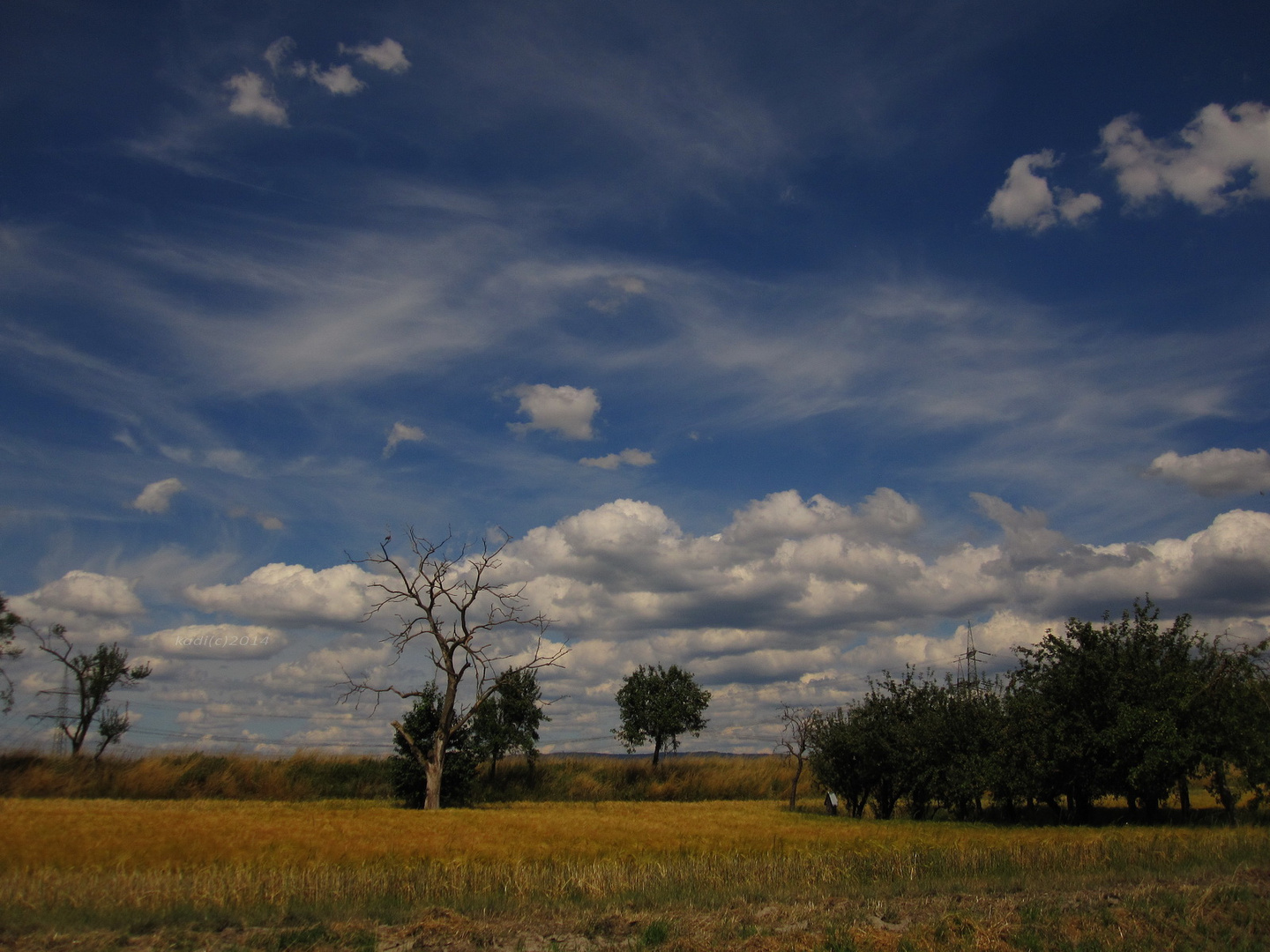 auf dem Feld 4