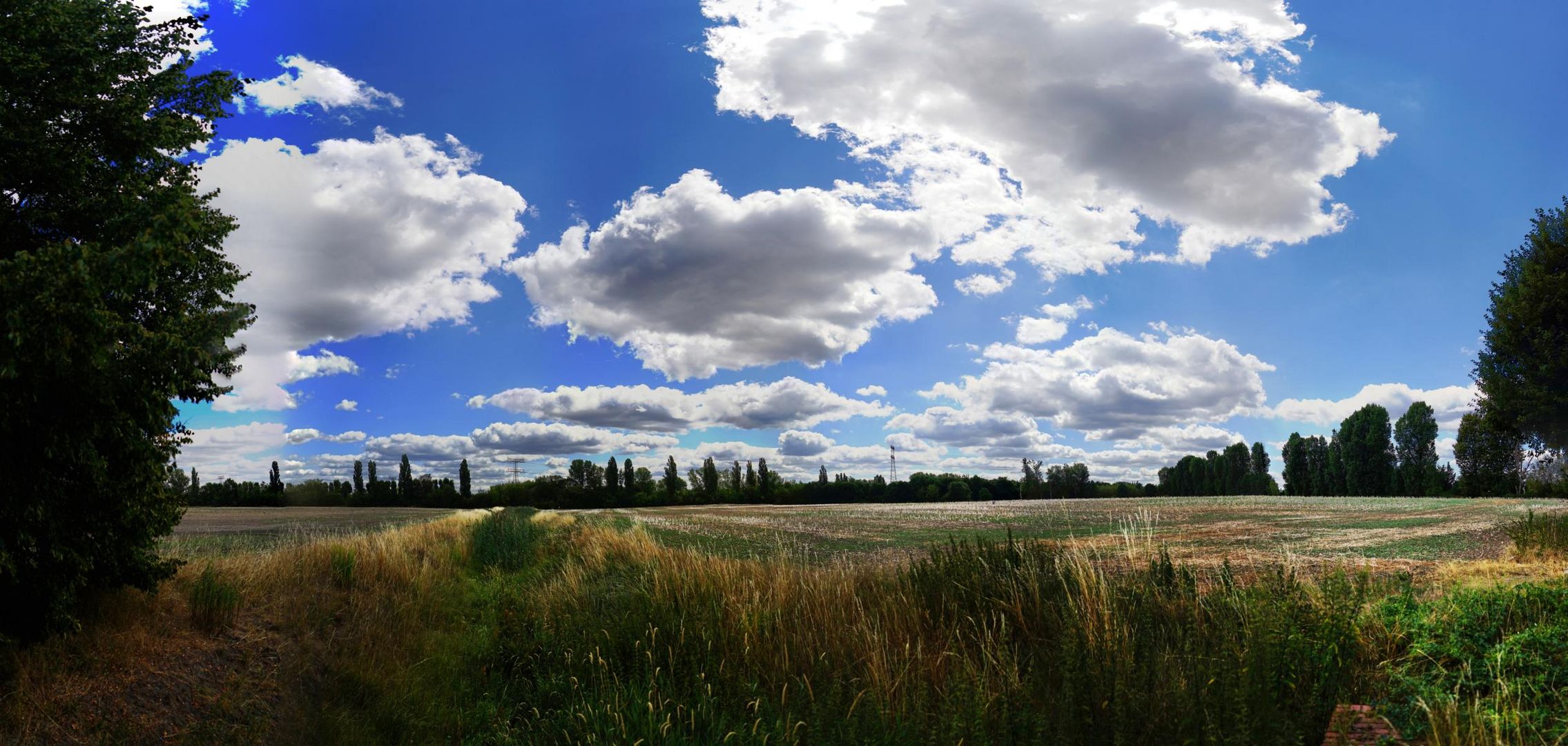 Auf dem Feld