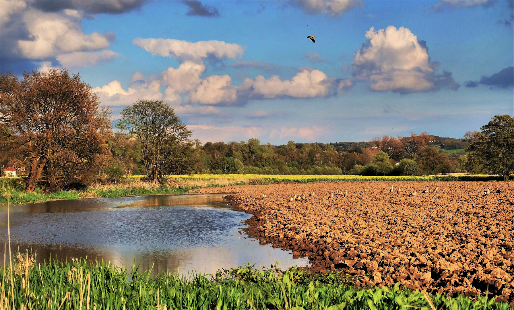 Auf dem Feld