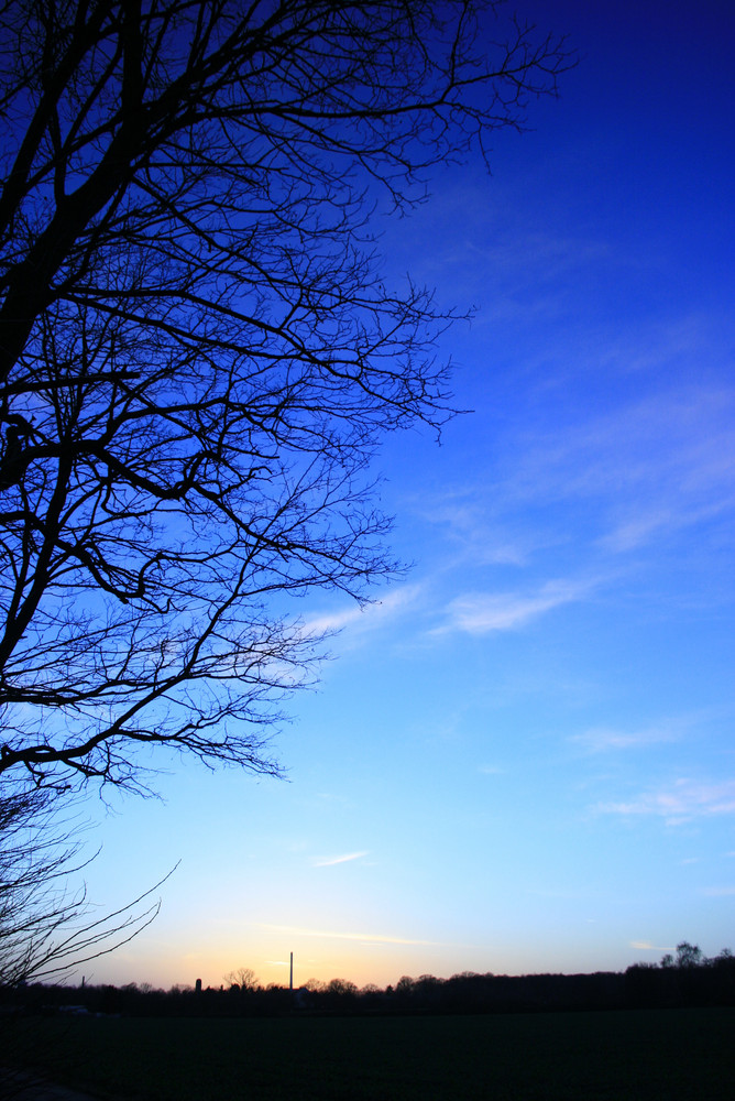 Auf dem Feld