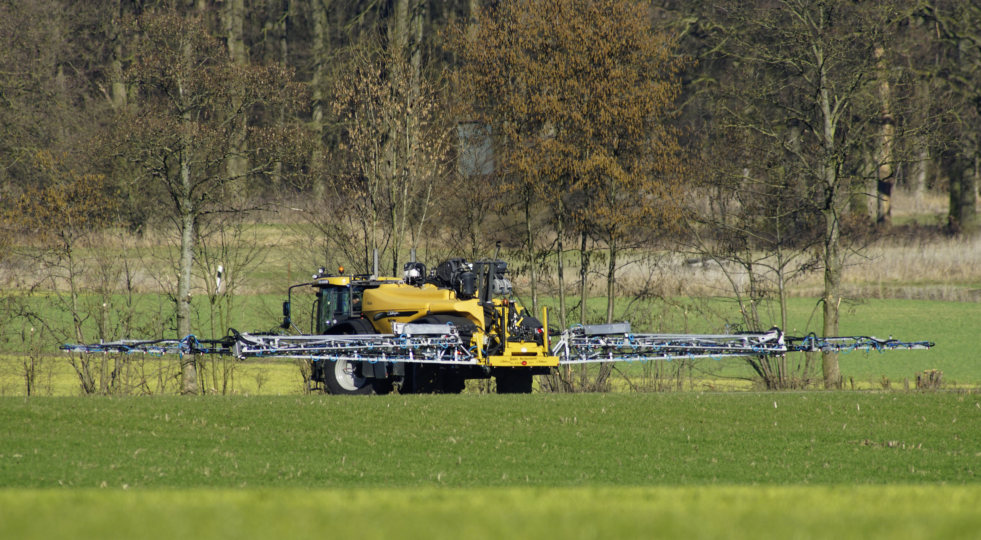 Auf dem Feld----