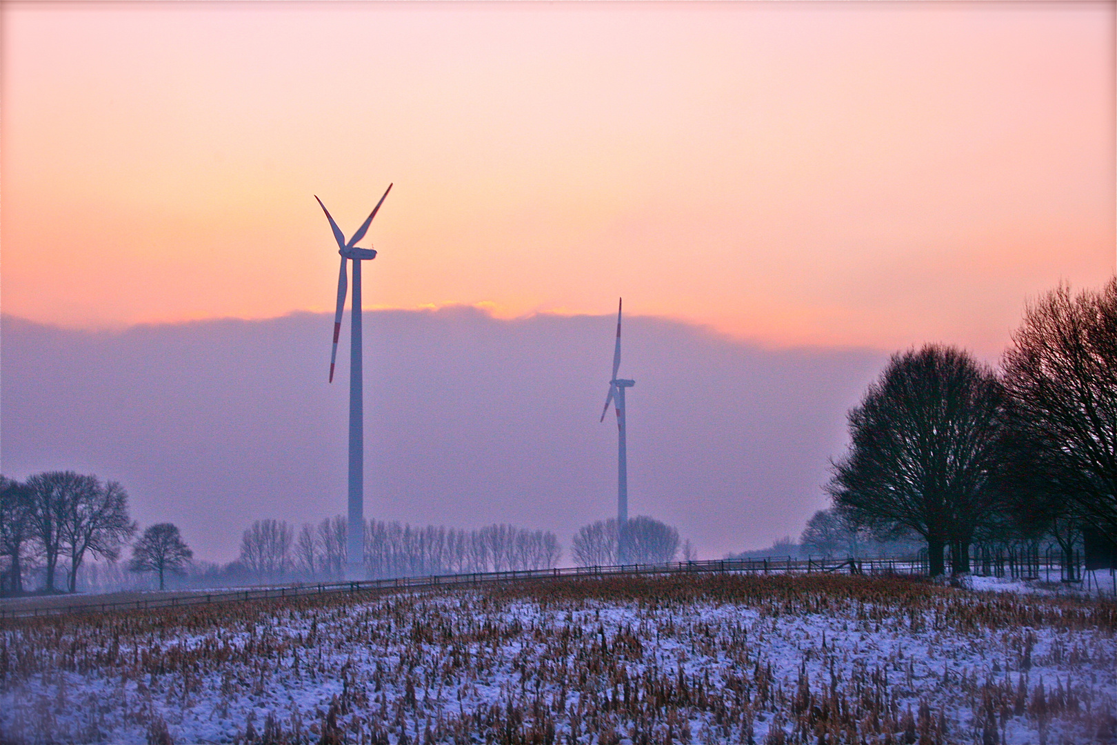 auf dem Feld