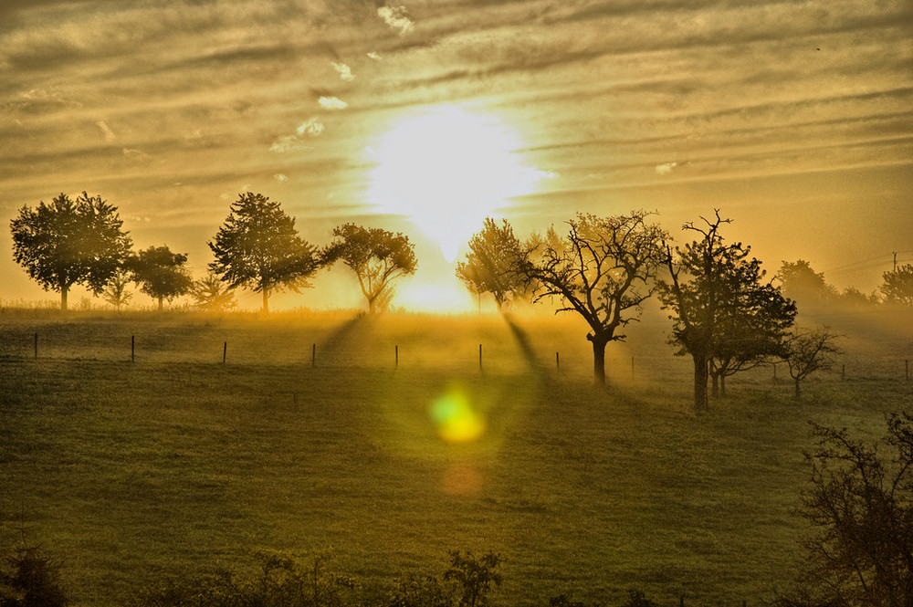 Auf dem Feld....