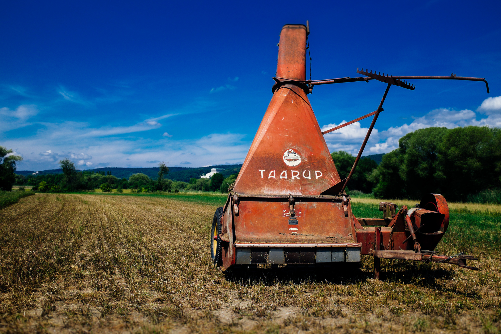 Auf dem Feld