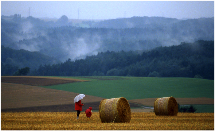 Auf dem Feld