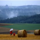 Auf dem Feld