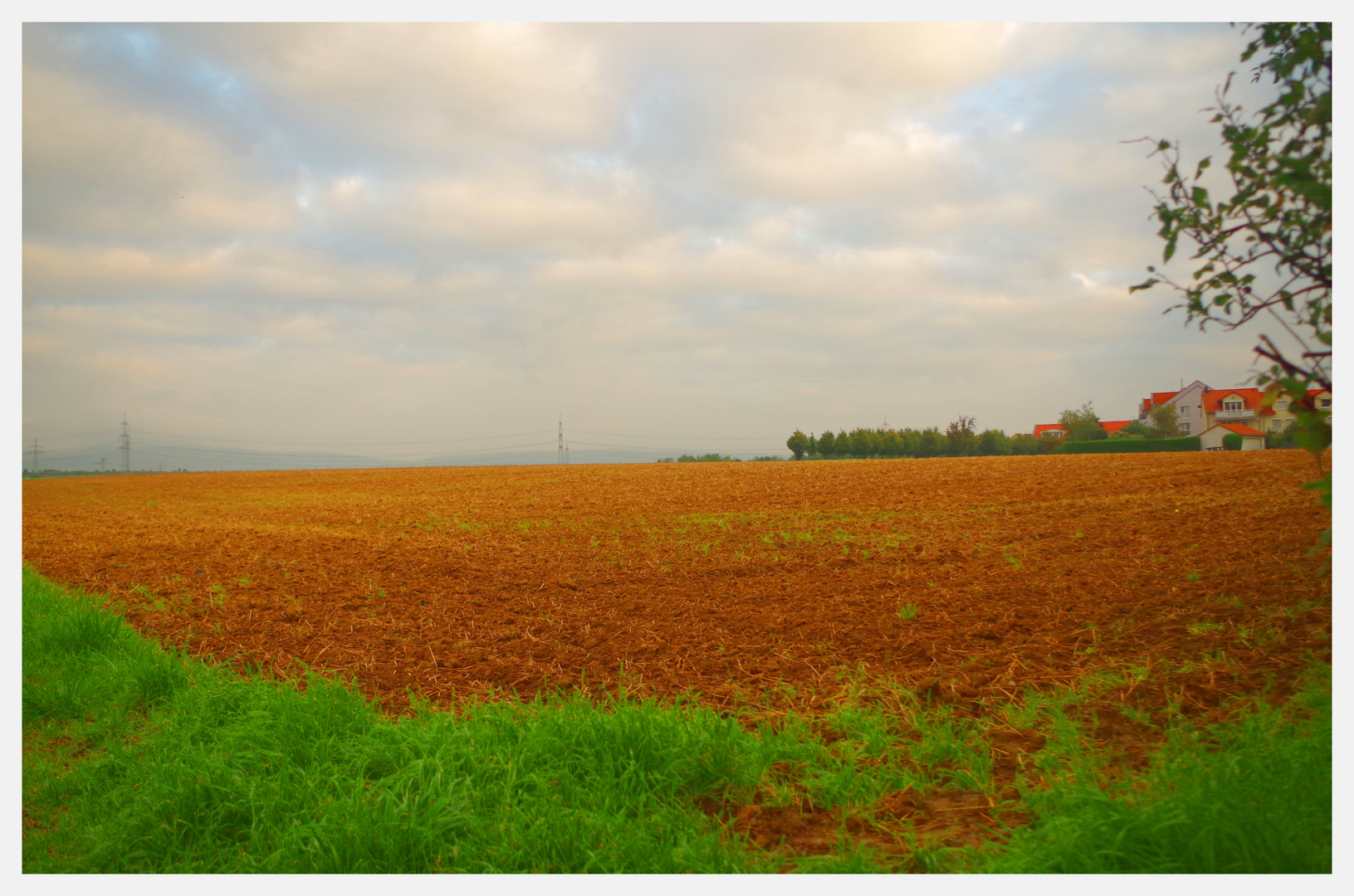 Auf dem Feld ...