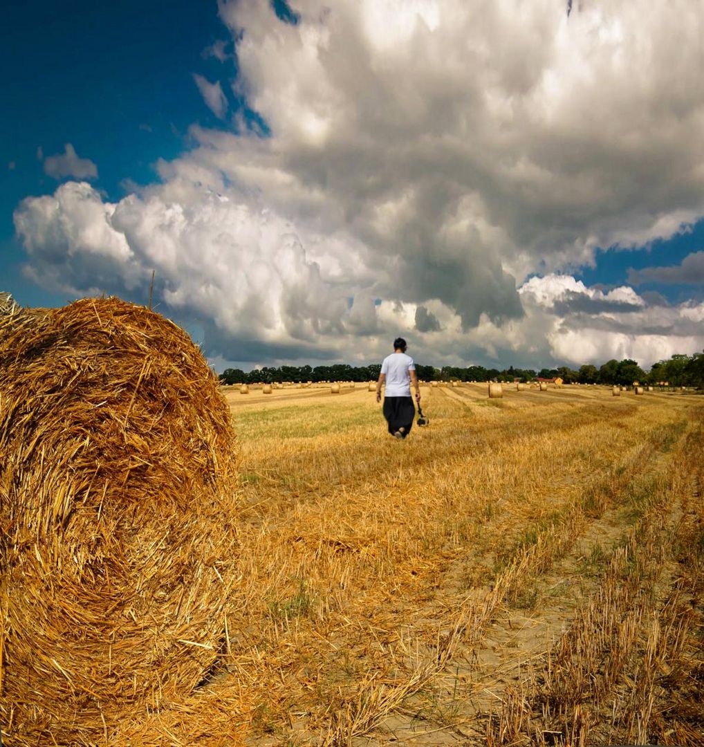 Auf dem Feld