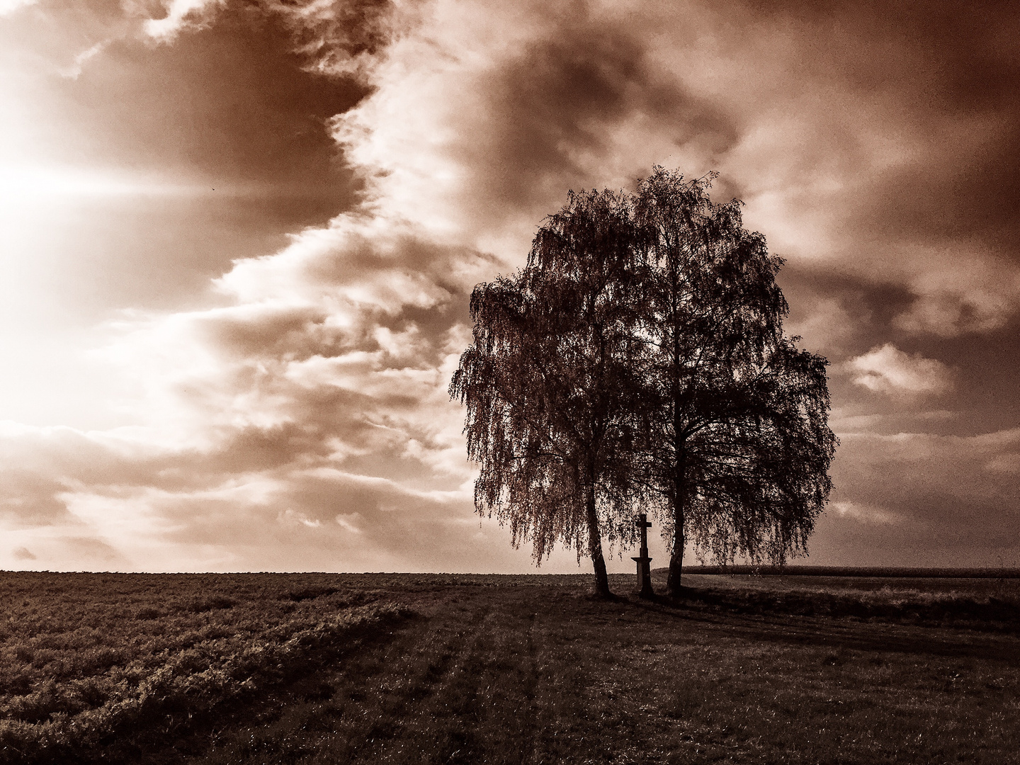 Auf dem Feld