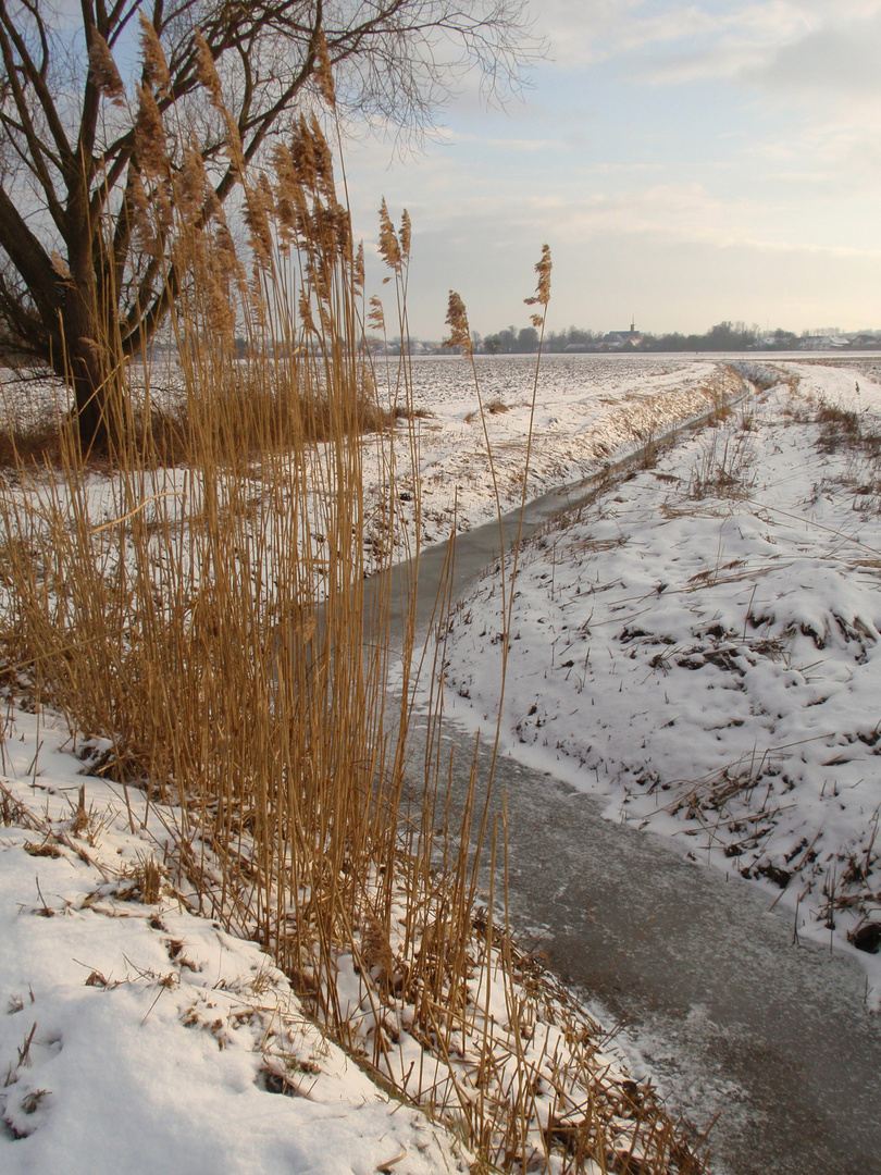 Auf dem Feld