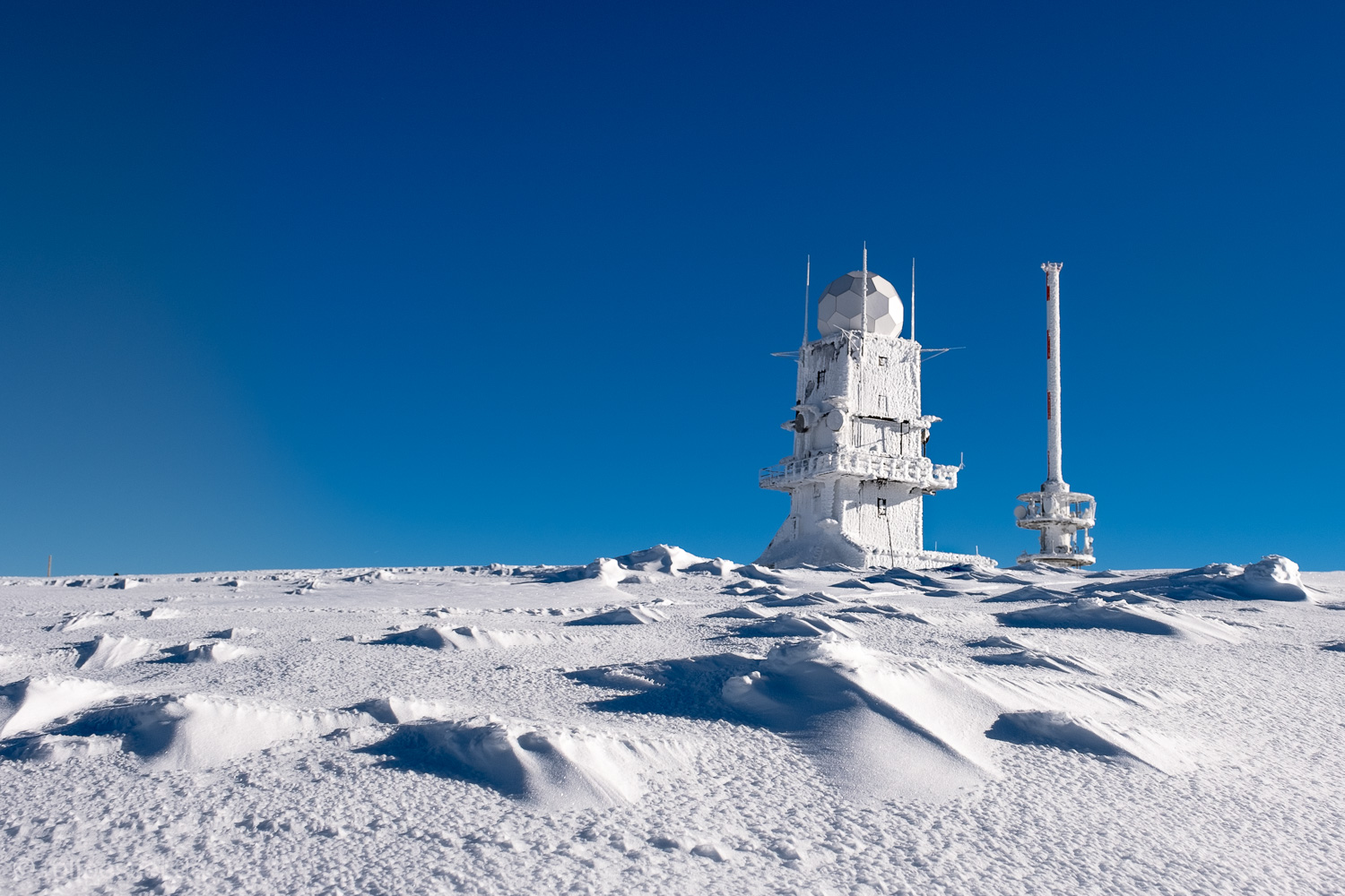 auf dem Feldberg