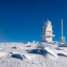 auf dem Feldberg