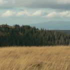 Auf dem Feldberg