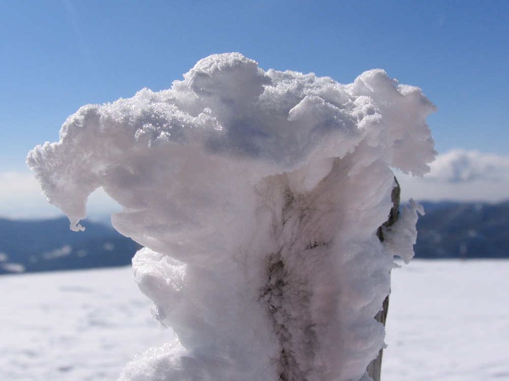 Auf dem Feldberg