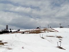 Auf dem Feldberg