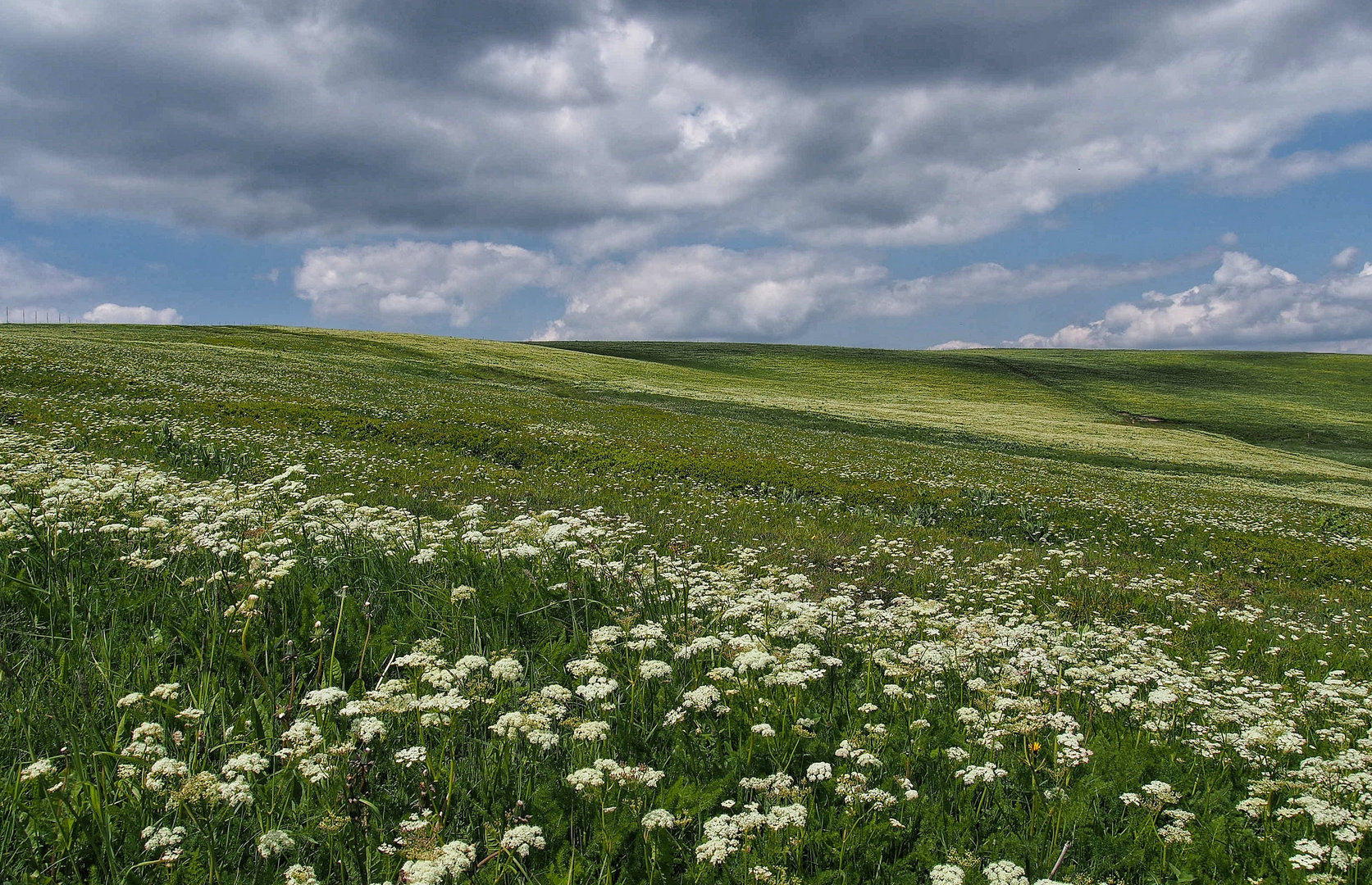 Auf dem Feldberg im Schwarzwald