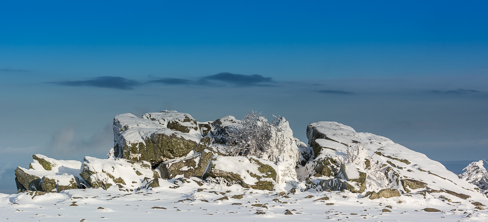 Auf dem Feldberg/ Taunus