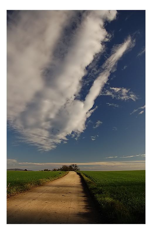 auf dem Feldweg...