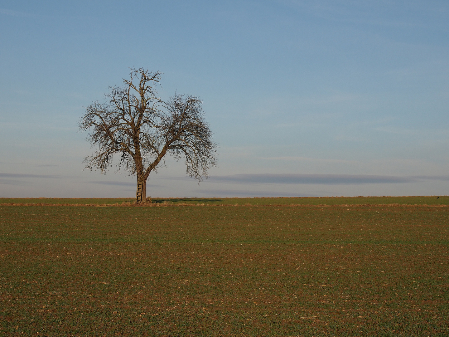 auf dem Feldweg der Zeit.