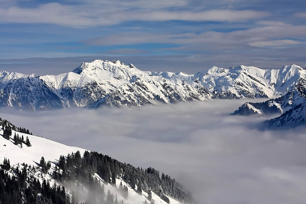 Auf dem Fellhorn III