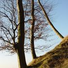 Auf dem Felsen