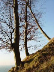 Auf dem Felsen