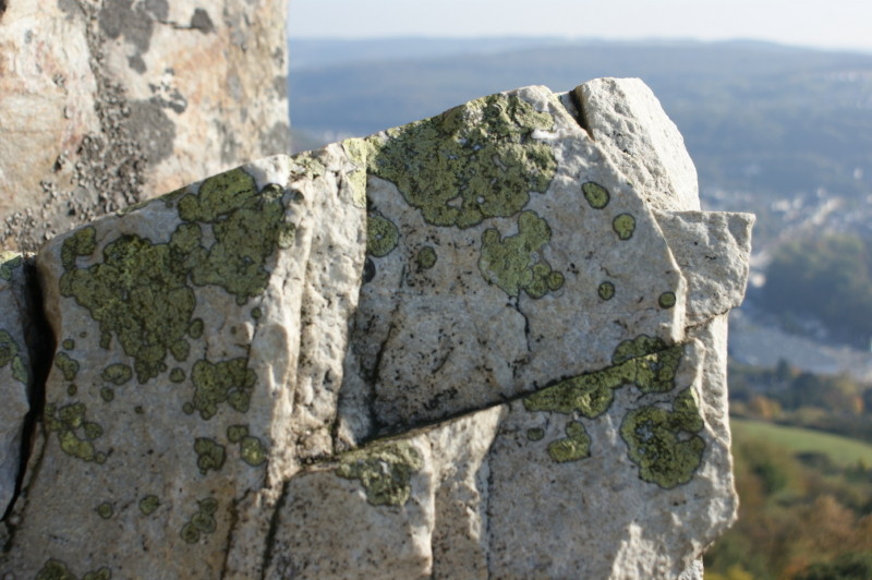 auf dem Felsen