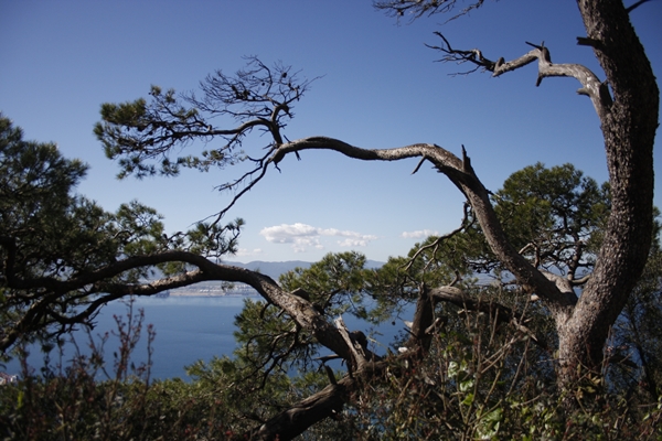 Auf dem Felsen von Gibraltar