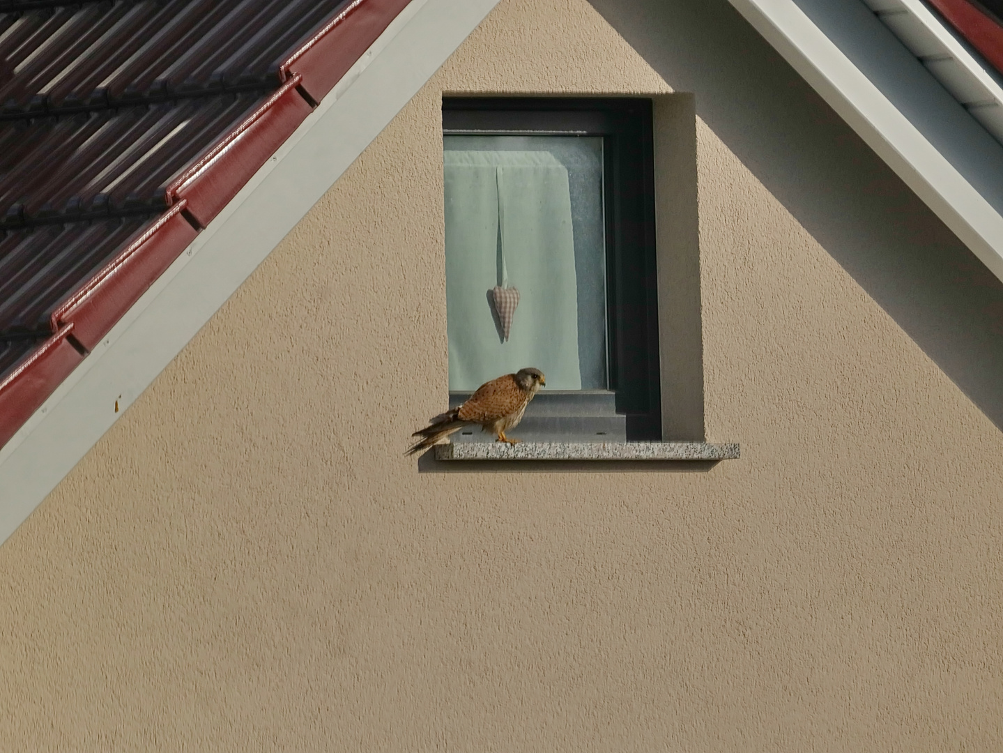 Auf dem Fensterbrett