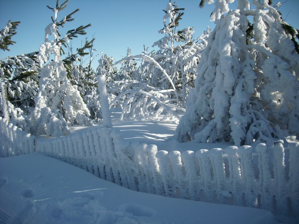 Auf dem Fichtelberg von Micheline1 