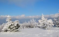 Auf dem Fichtelberg